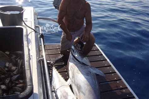 big game fishing europe|Offshore fishing in Croatia .